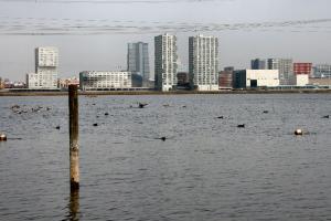 Het Weerwaterfront van het centrum van Almere Stad, 15 maart 2010 (foto J.P. Einiö).